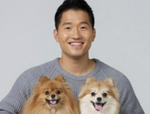 개와 늑대의 시간