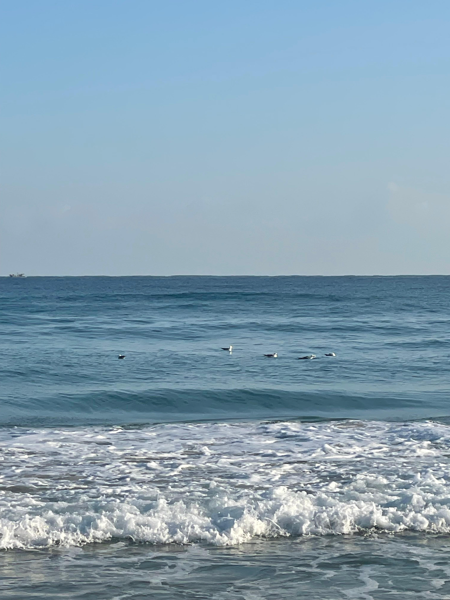 삼척 증산해변