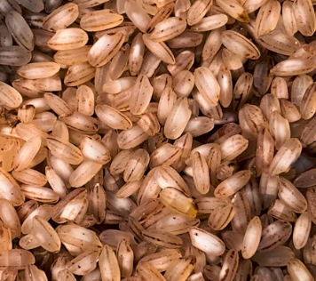 혈당 스파이크 증상 예방법 뜻