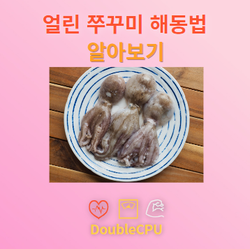 얼린 쭈꾸미 해동법