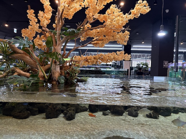 수풀림 아쿠아카페