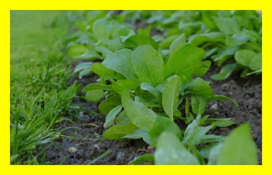 ESG 교육자료와 자가진단 보고서를 연계하는 방법