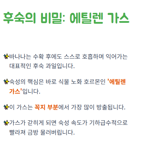 바나나 보관법