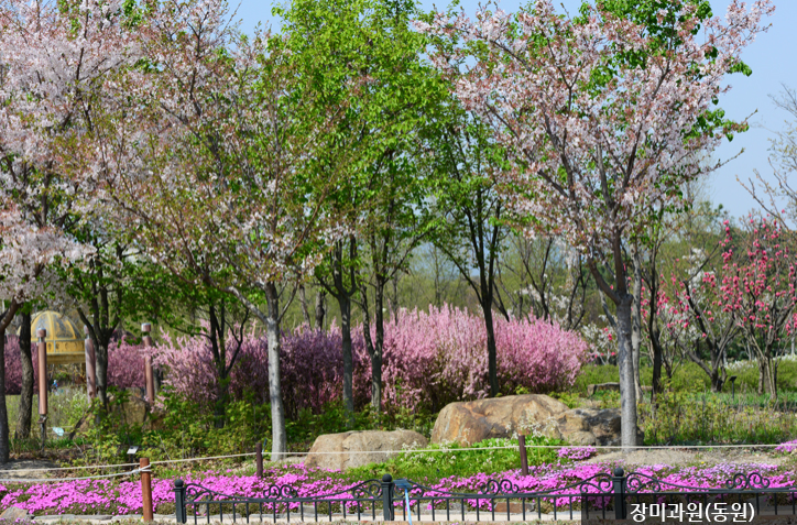 한밭수목원 명소 10선3