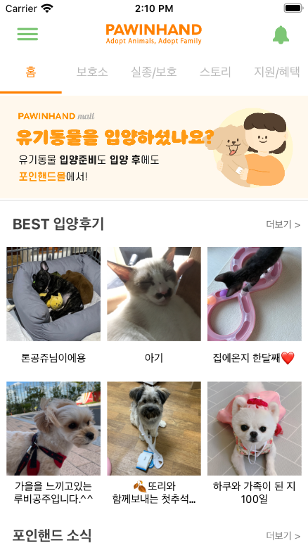 포인핸드 (Paw In Hand)