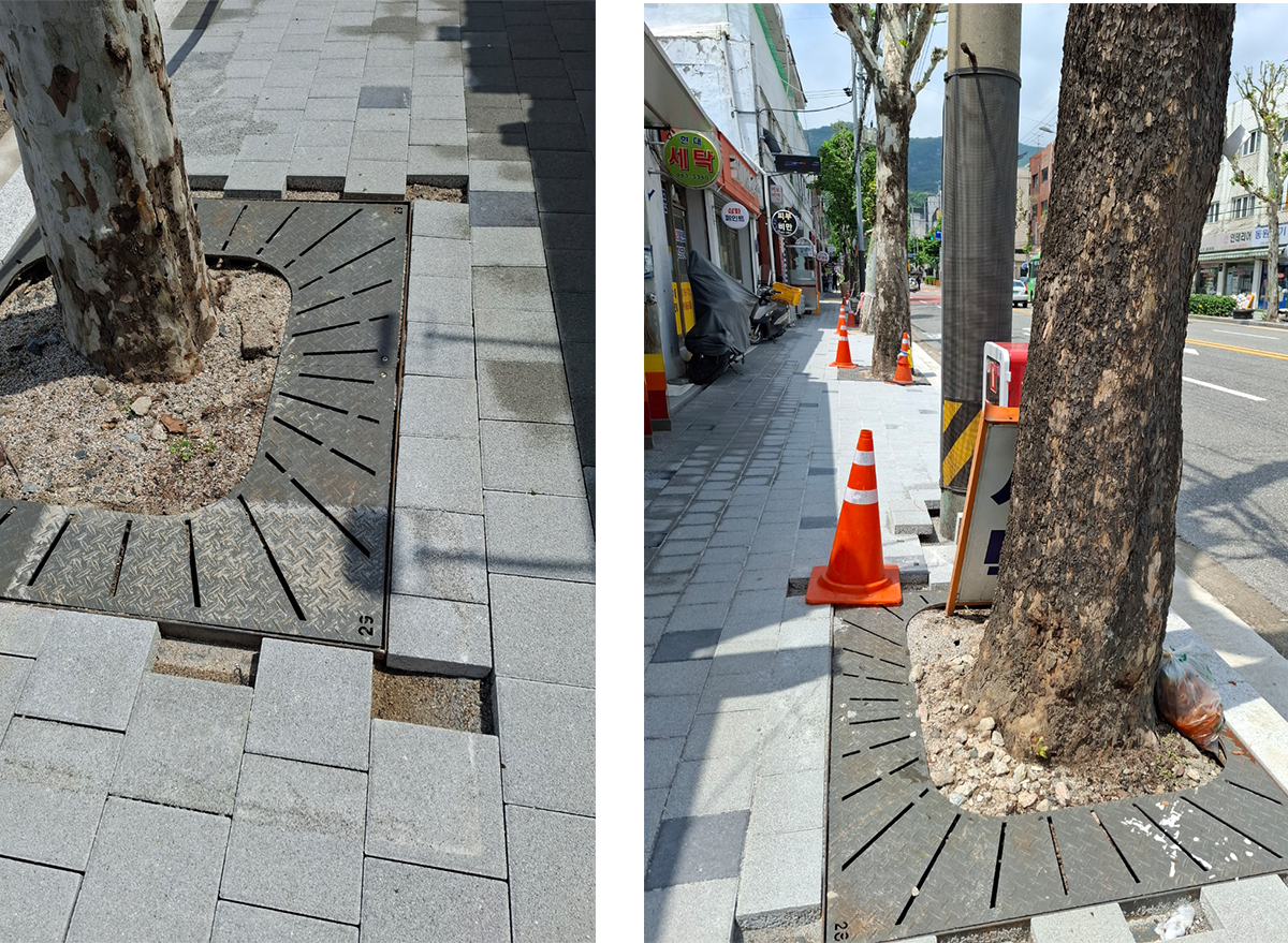 도로 정비 중인 가게 앞
강아지들이 즐겨 찾는 나무
아직 정리 중인 상태