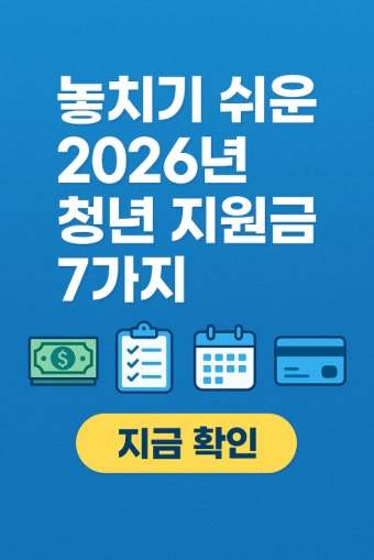 2026년 청년 지원금