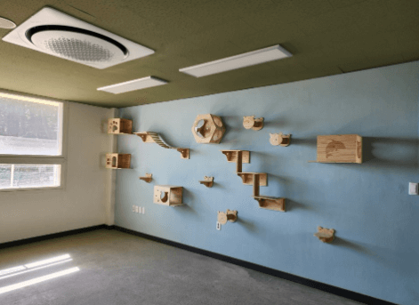 통영 고양이 학교 시설