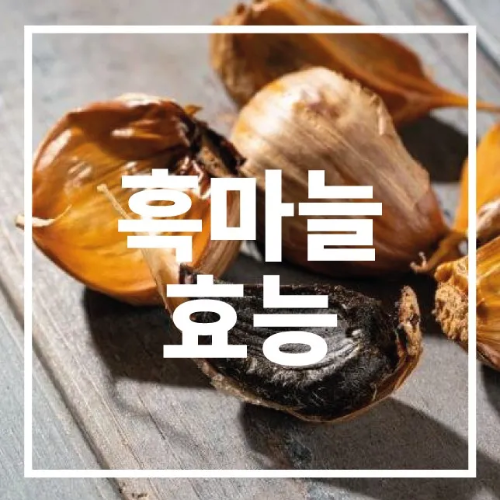 흑마늘 효능