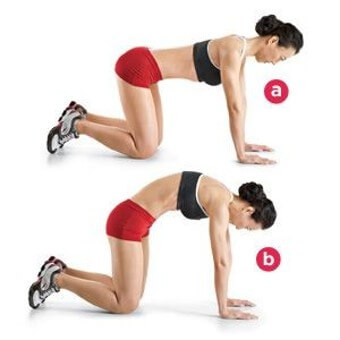 고양이 낙타 스트레칭