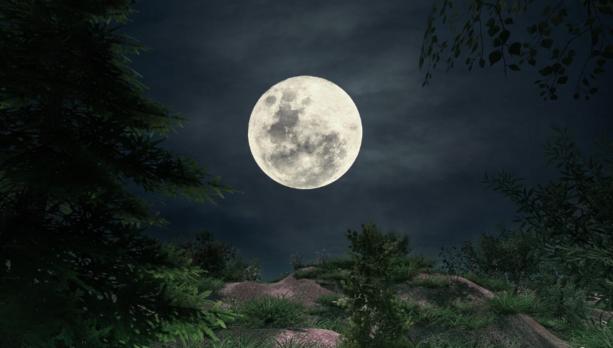 25년 5월 궁궐 야간개장 및 문화유산 행사일정