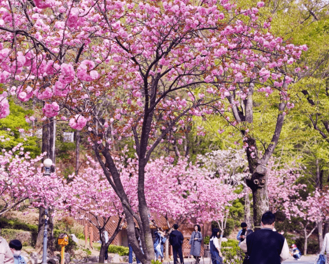 서울대공원