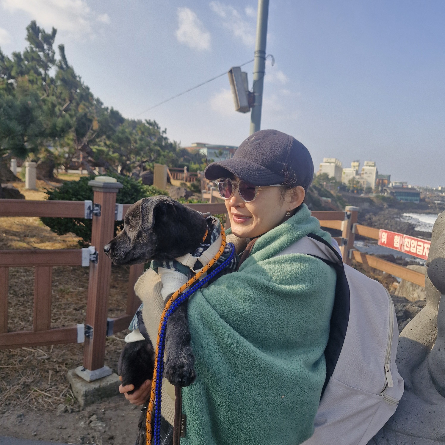 강아지 티스템퍼 백신, 부작용 가능성은 없을까?