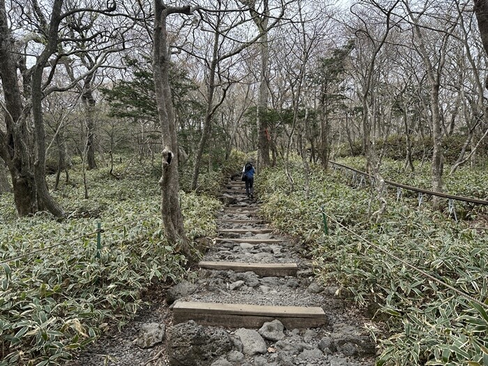 한라산-성판악코스