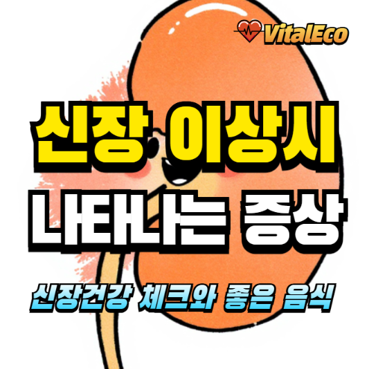 신장이 안좋으면 나타나는 증상