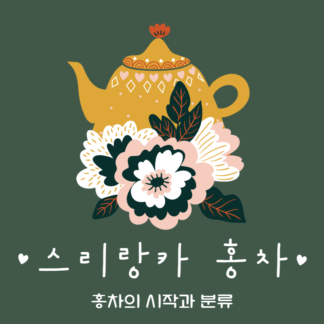 스리랑카 홍차 실론티 시작 분류