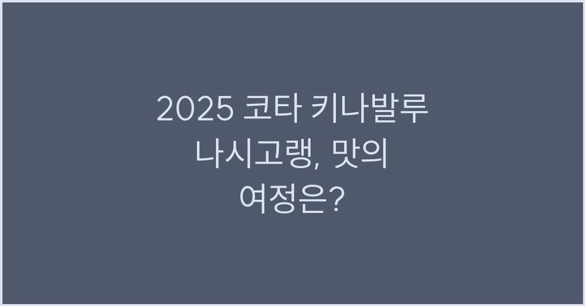 2025 코타 키나발루 나시고랭