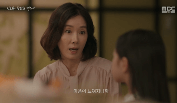 이토록 치밀한 배신자 : 줄거리 총정리 다시보기 등장인물