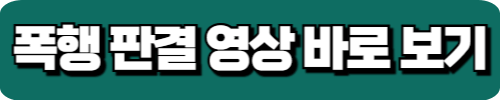 폭행판결영상바로보기