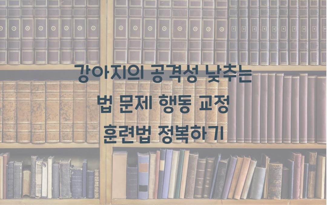 강아지의 공격성을 낮추는 법, 문제 행동 교정하는 훈련법