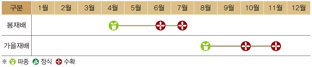 쪽파심는시기 수확시기 텃밭 간격 씨앗 종구 종자 심기 키우기 방법 총정리