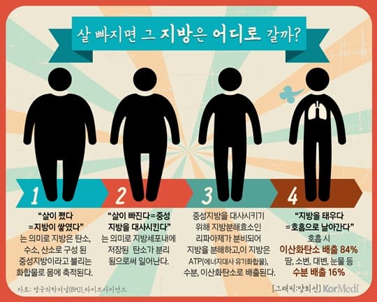 체지방 분해, 배출