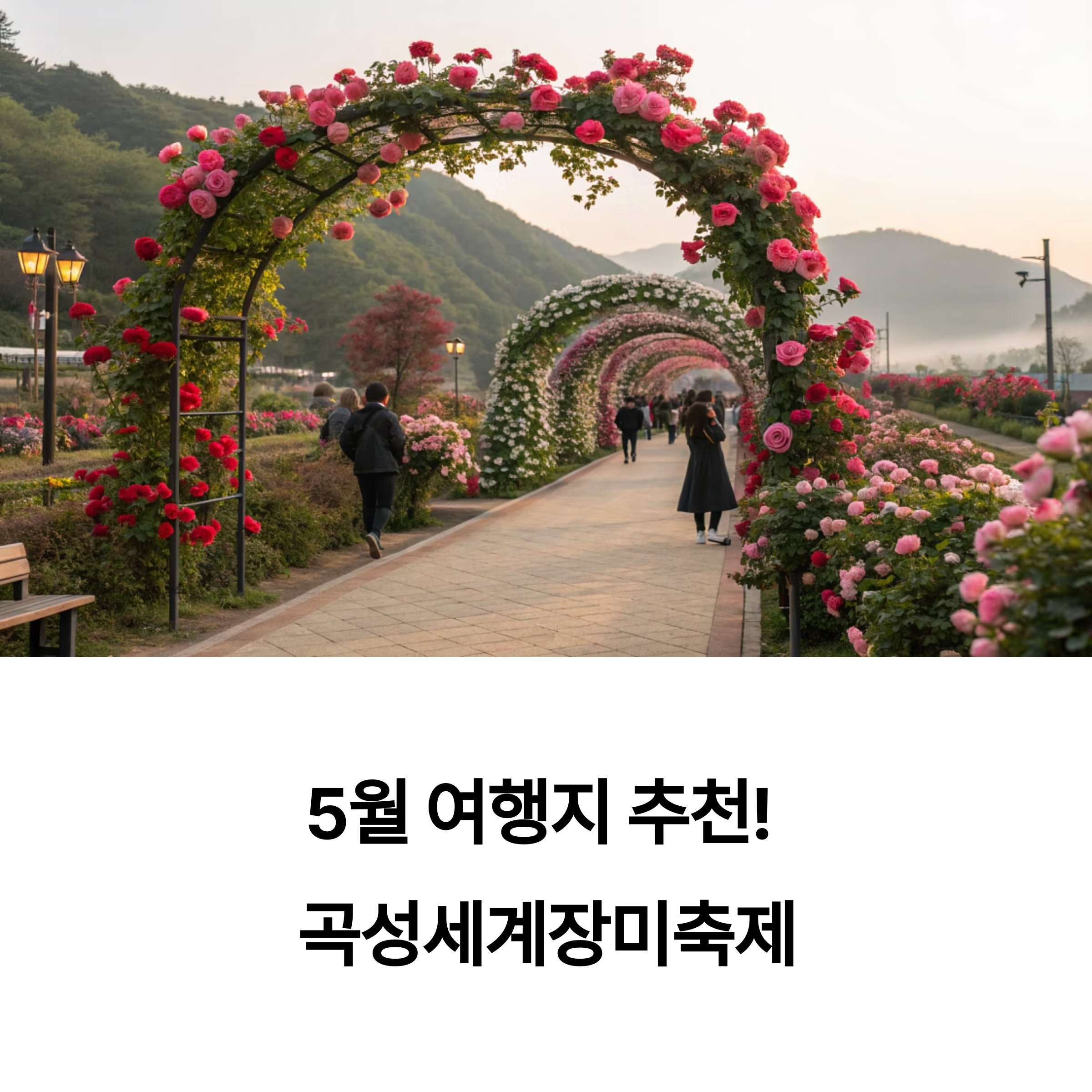 곡성세계장미축제에서 만나는 장미의 향연