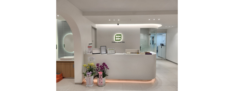 홍천군 교정 치과