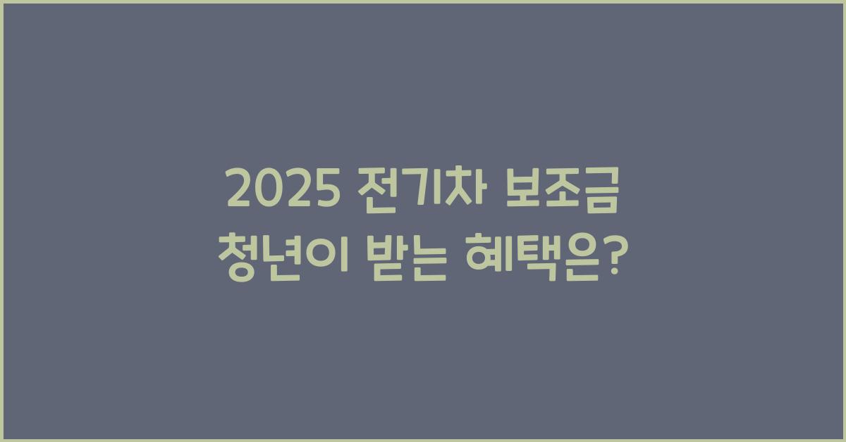 2025 전기차 보조금 청년