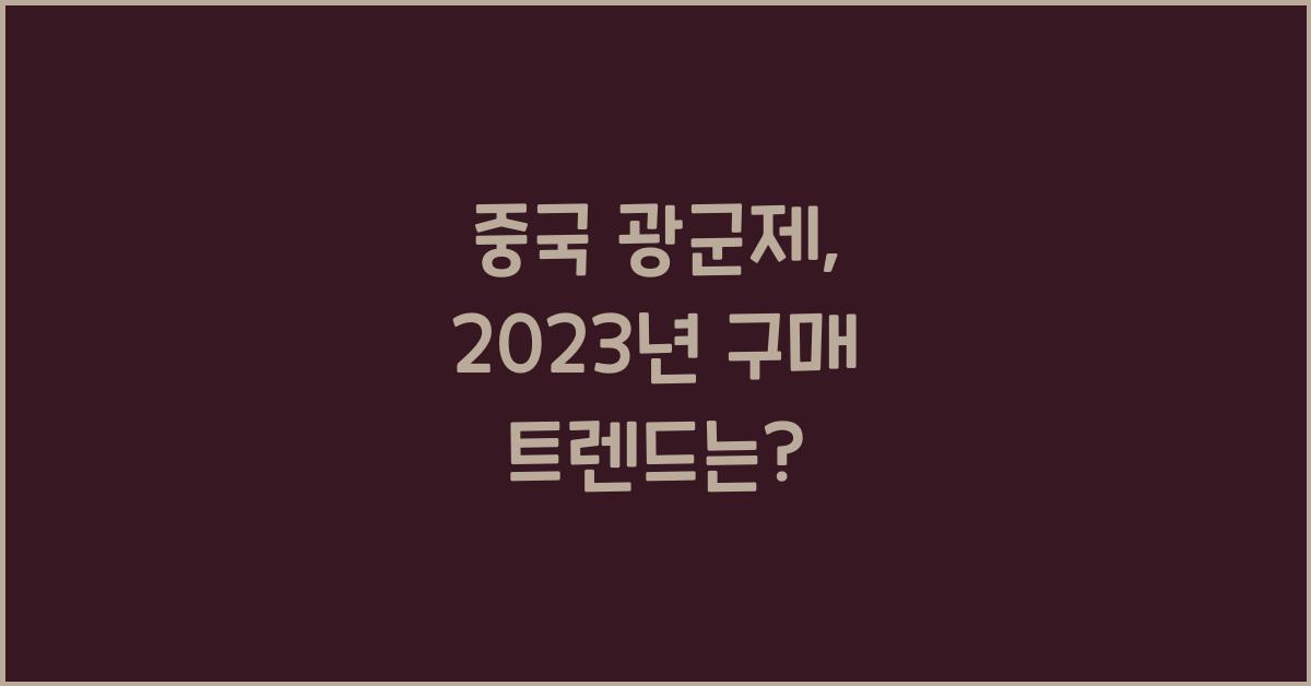 중국 광군제