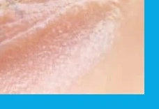 눈 영양제 구매 전 필수 정보 3가지, 루테인만 먹으면 안 되는 이유