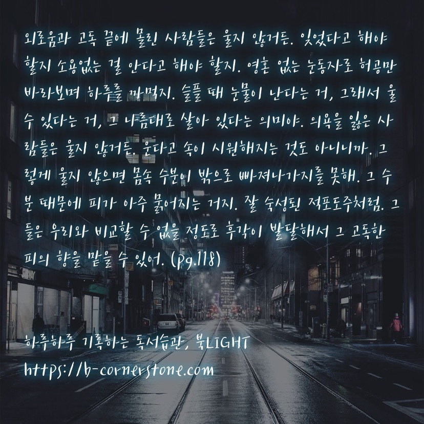 천선란 밤에 찾아오는 구원자