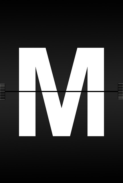 기후동행카드 후불 신청, 발급방법