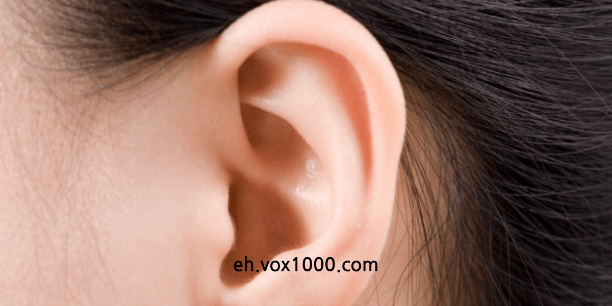 난청에 좋은 영양제