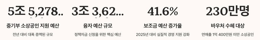 소상공인정책자금 수치 정리