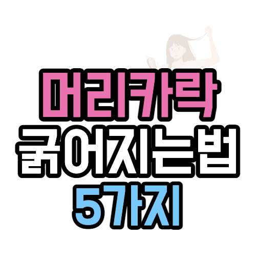 머리카락-굵어지는법