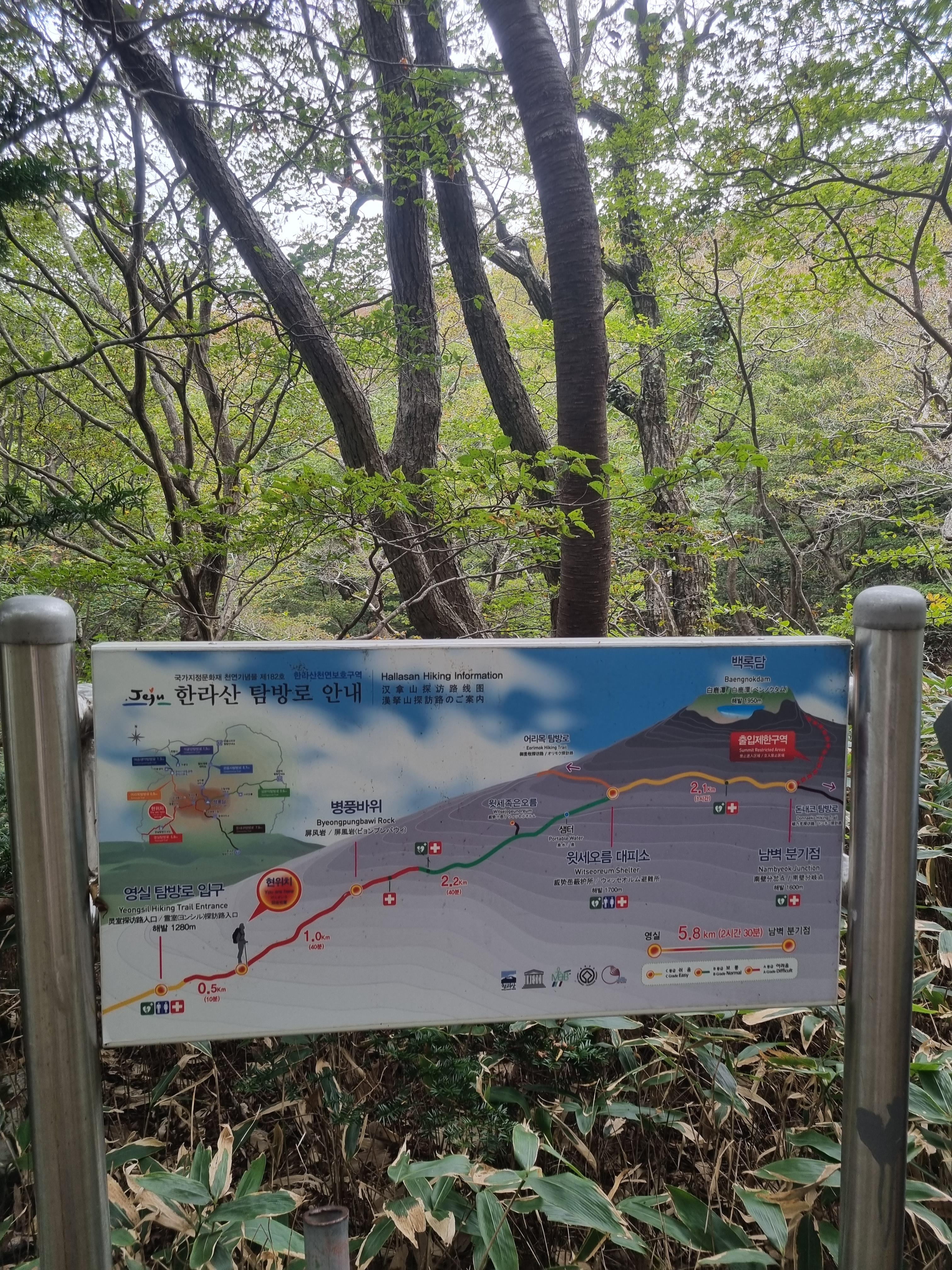 윗세오름 영실코스