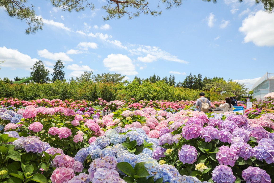 휴애리 자연생활공원 &ndash; 제주의 전통과 계절을 담다
