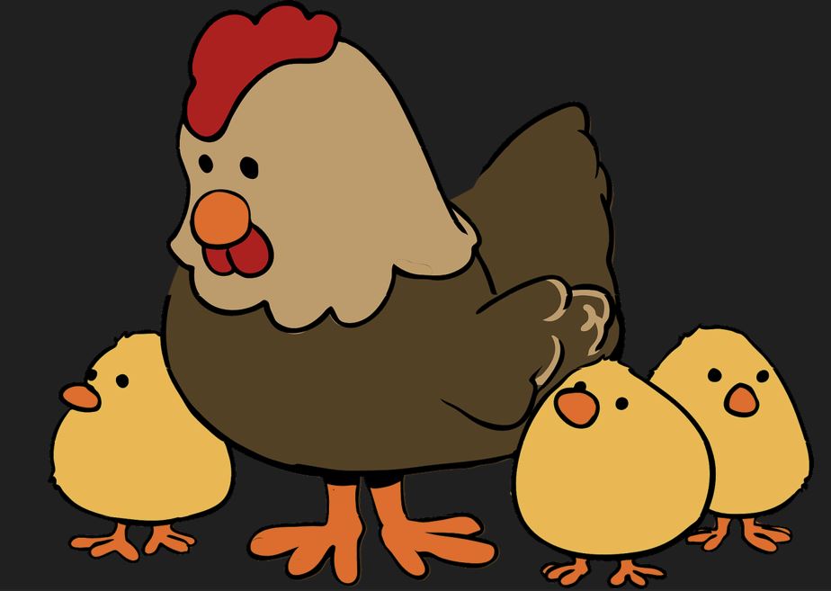 2026년 닭띠 운세 총정리｜재물운&middot;직장운&middot;인간관계운 완벽 해석