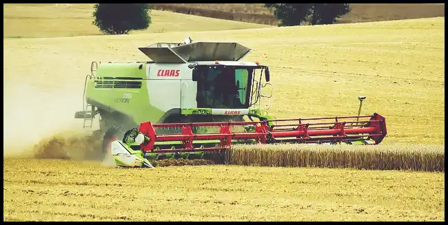 파로 곡물 효능 및 부작용과 먹는 법