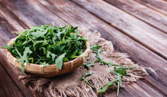 초보도 쉽게 구분하는 산나물과 독초의 차이