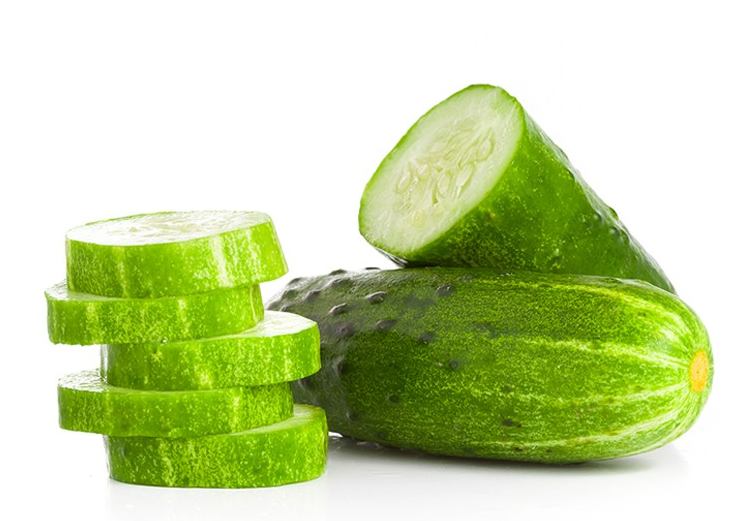 6시내고향 전남 보성 오이 파는 곳 전국 택배 온라인 전화 주문 추천