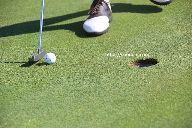 SBS 골프 생방송 모바일 생중계 PGA LPGA KLPGA 중계 하이라이트채널번호 경기일정 말없는 중계