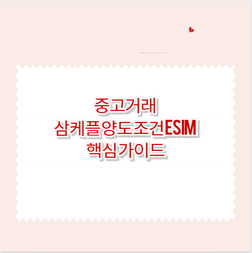 중고거래 삼케플 양도 조건 eSIM 핵심 가이드