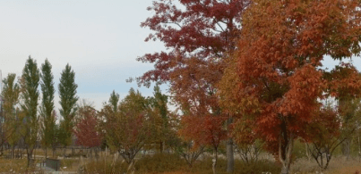 서울근교 단풍 명소 추천