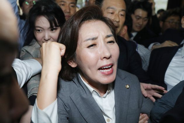 나경원 전 국회의원