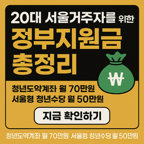 20대 서울 청년, 정부지원금