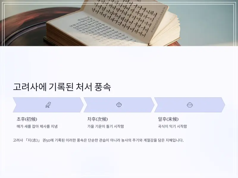 24절기-처서-4_