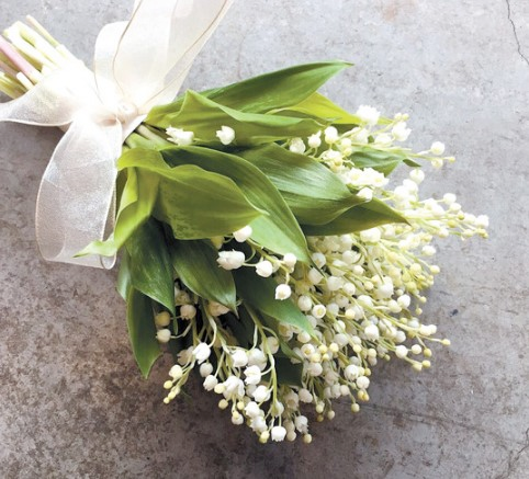 은방울꽃 부케 꽃말 포토 및 서인영 부케 은방울꽃 키우기