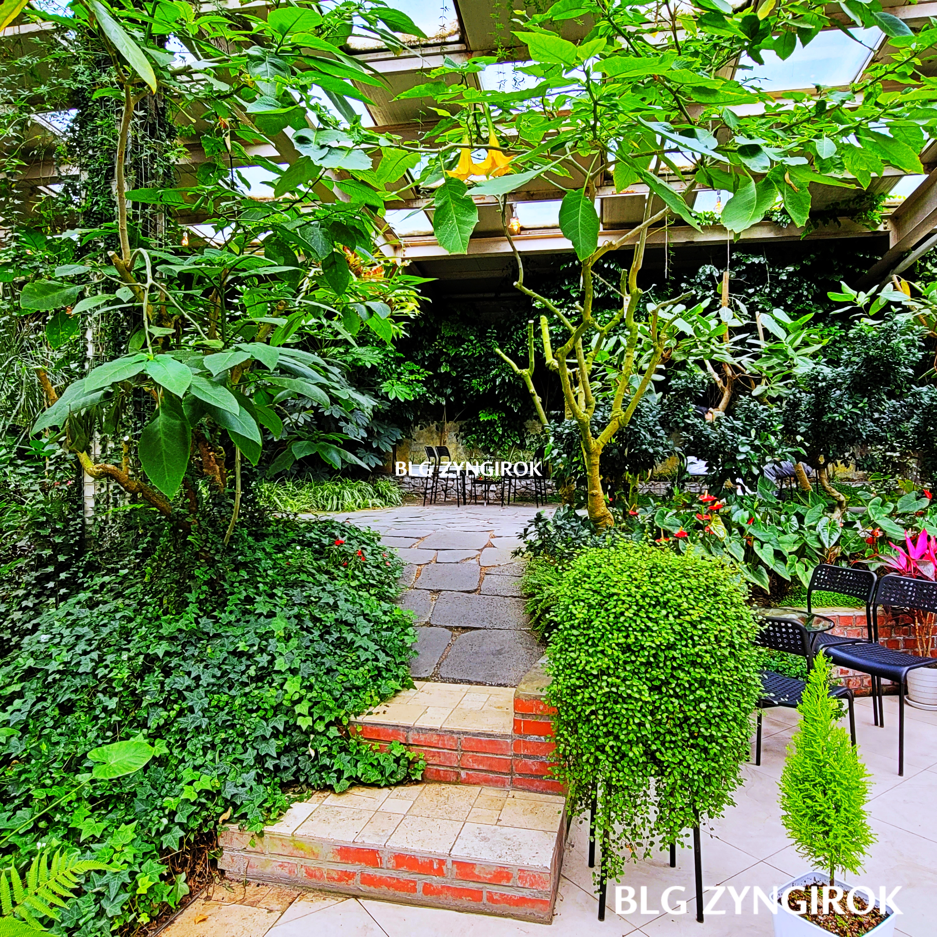 양주-오랑주리-카페-내부-숲이다.